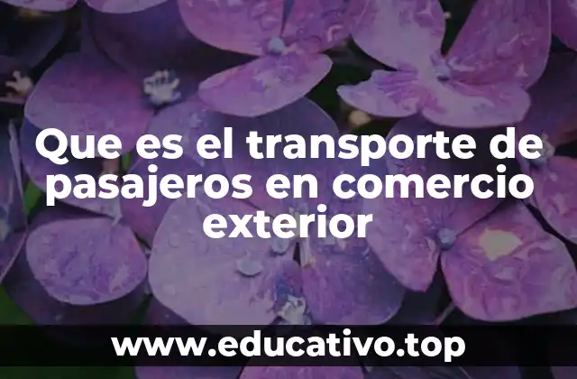 Que es el transporte de pasajeros en comercio exterior