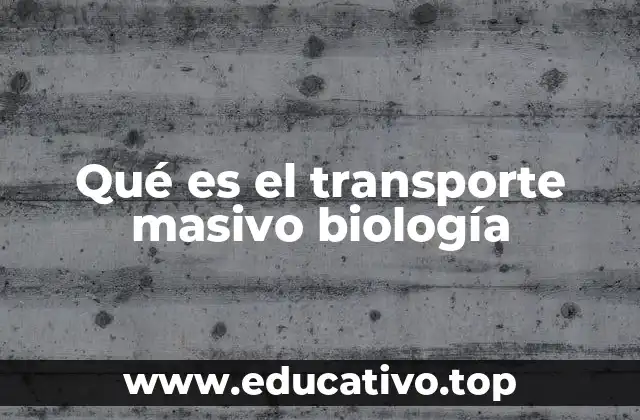 Qué es el transporte masivo biología