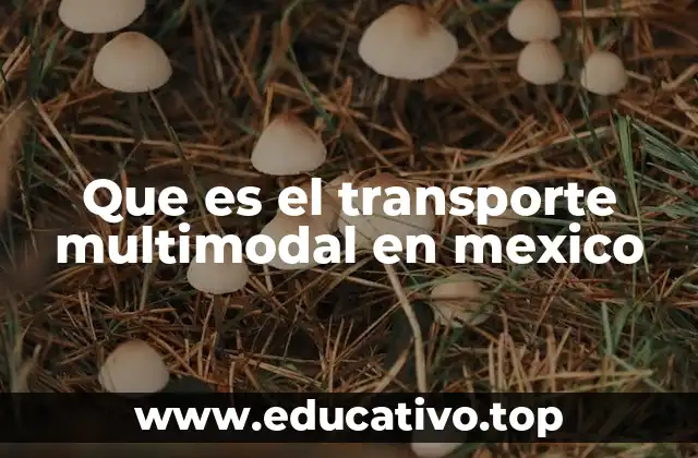 Que es el transporte multimodal en mexico