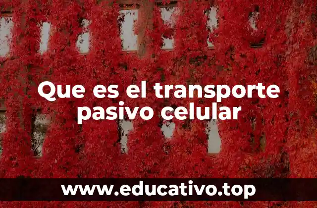 Que es el transporte pasivo celular
