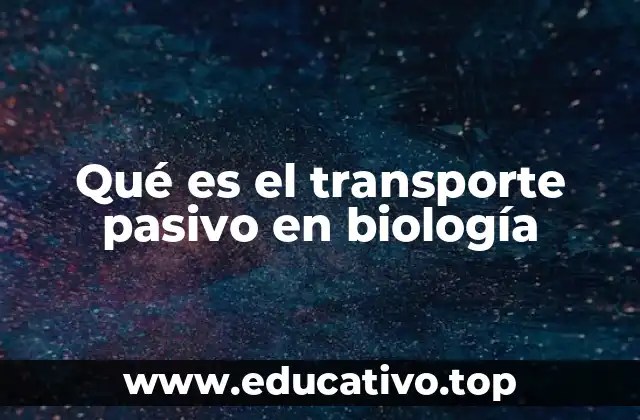 Qué es el transporte pasivo en biología