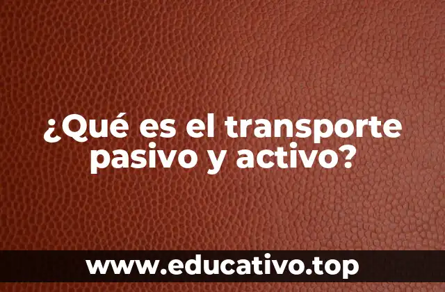 ¿Qué es el transporte pasivo y activo?