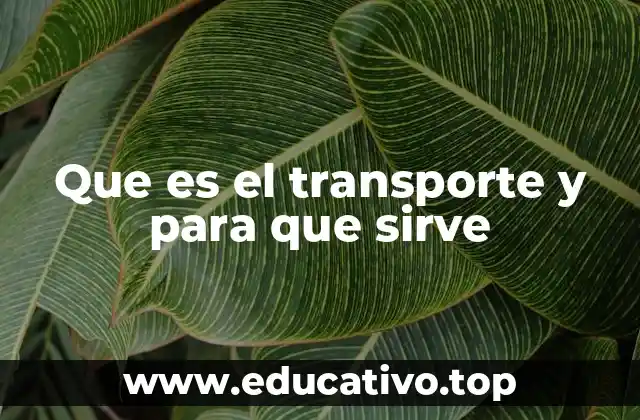 Que es el transporte y para que sirve