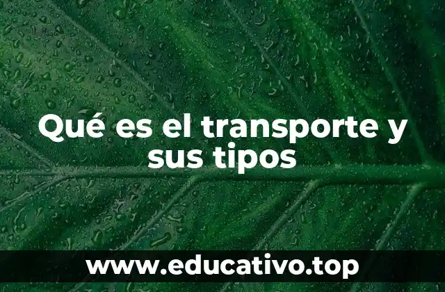 Qué es el transporte y sus tipos