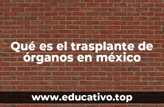 Qué es el trasplante de órganos en méxico