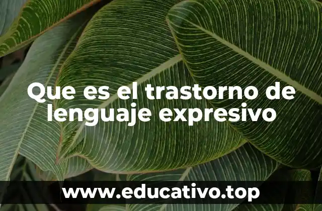 Que es el trastorno de lenguaje expresivo