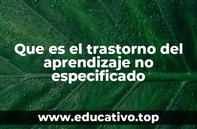 Que es el trastorno del aprendizaje no especificado