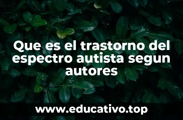 Que es el trastorno del espectro autista segun autores