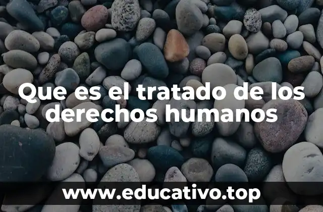 Que es el tratado de los derechos humanos