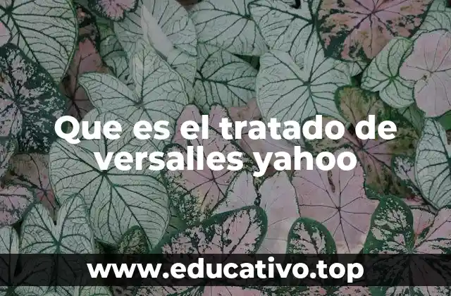 Que es el tratado de versalles yahoo
