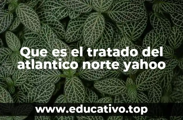 Que es el tratado del atlantico norte yahoo