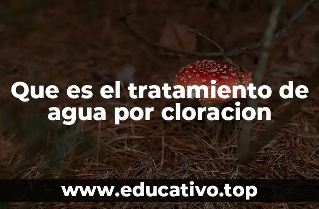 Que es el tratamiento de agua por cloracion