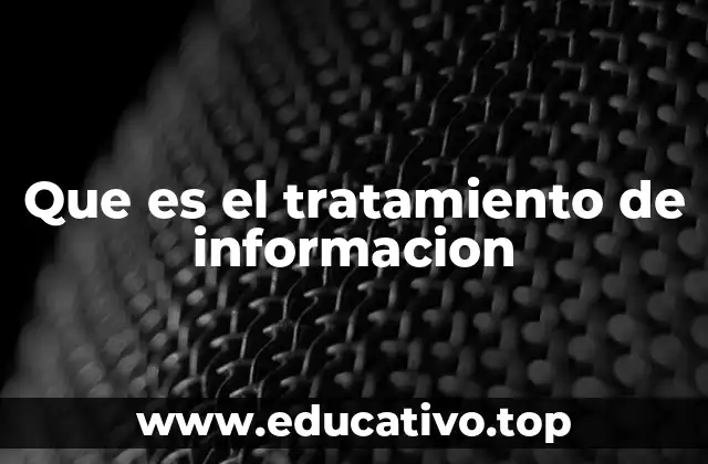 Que es el tratamiento de informacion