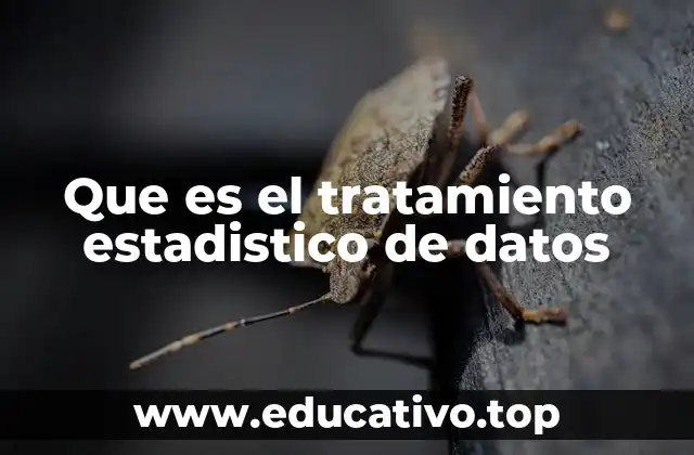 Que es el tratamiento estadistico de datos