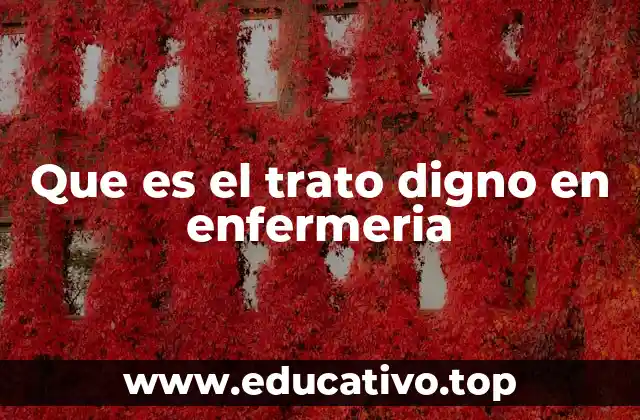 Que es el trato digno en enfermeria