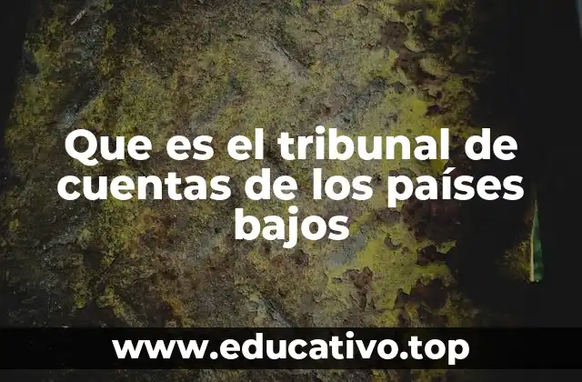 Que es el tribunal de cuentas de los países bajos