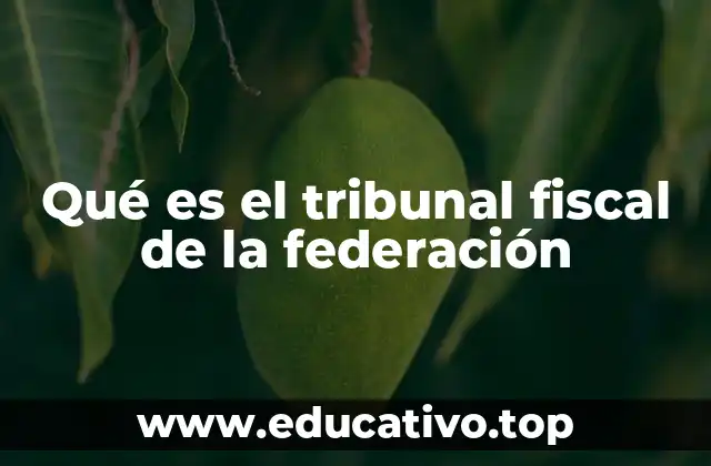 Qué es el tribunal fiscal de la federación