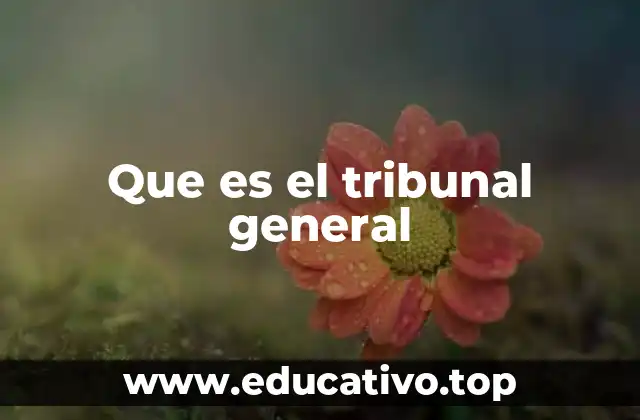 Que es el tribunal general