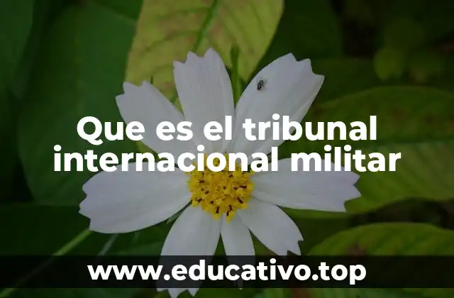 Que es el tribunal internacional militar