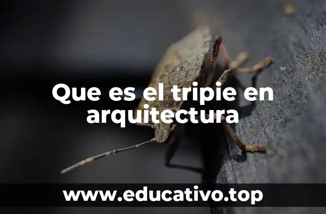 Que es el tripie en arquitectura