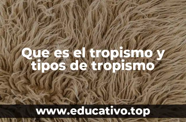 Que es el tropismo y tipos de tropismo