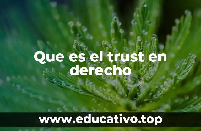 Que es el trust en derecho