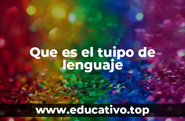 Que es el tuipo de lenguaje