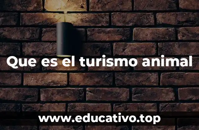 La importancia de la interacción con la fauna en el turismo