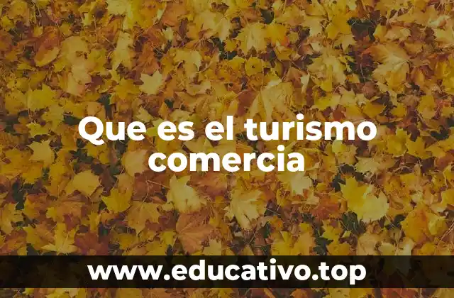 Que es el turismo comercia