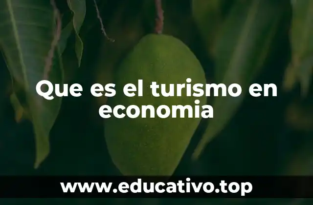 Que es el turismo en economia