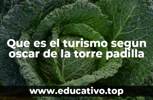 Que es el turismo segun oscar de la torre padilla