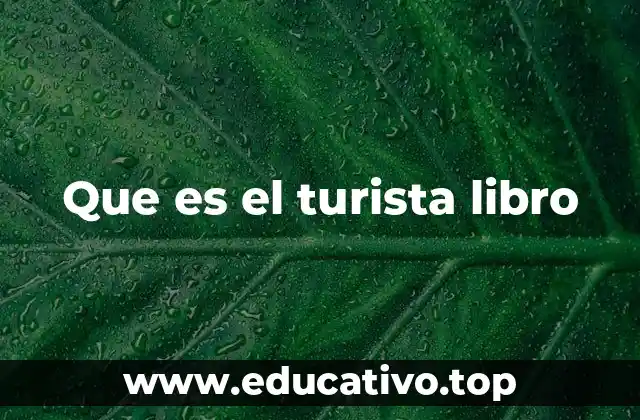 Que es el turista libro