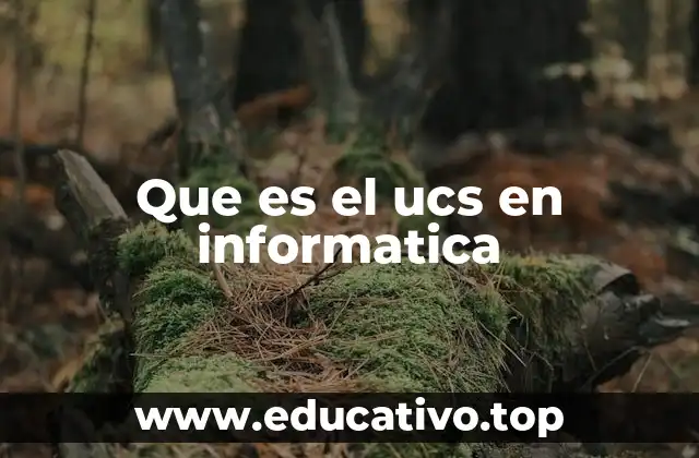 El rol del UCS en la internacionalización de software