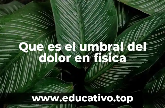 La intersección entre física y percepción sensorial