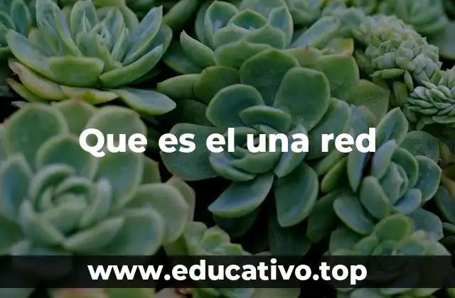 Que es el una red