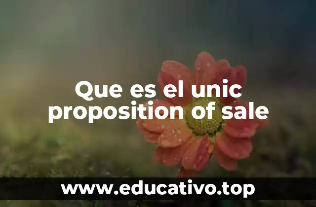 Que es el unic proposition of sale