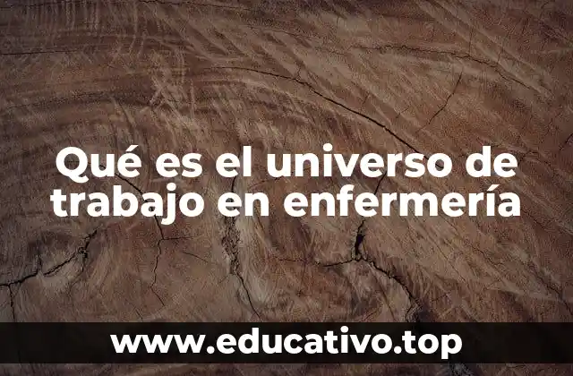 Qué es el universo de trabajo en enfermería