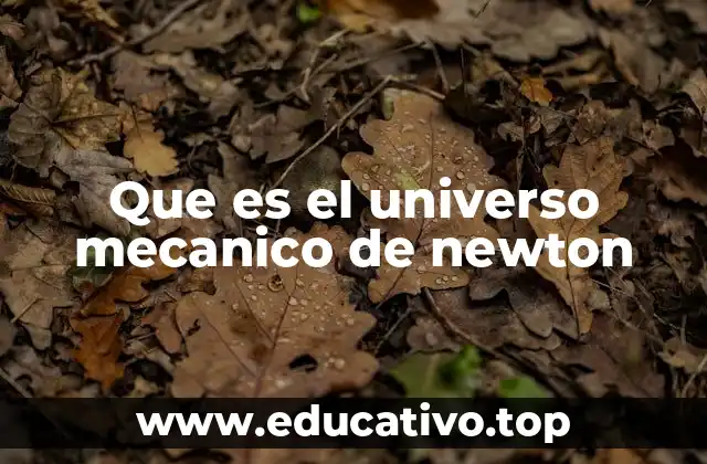 Que es el universo mecanico de newton