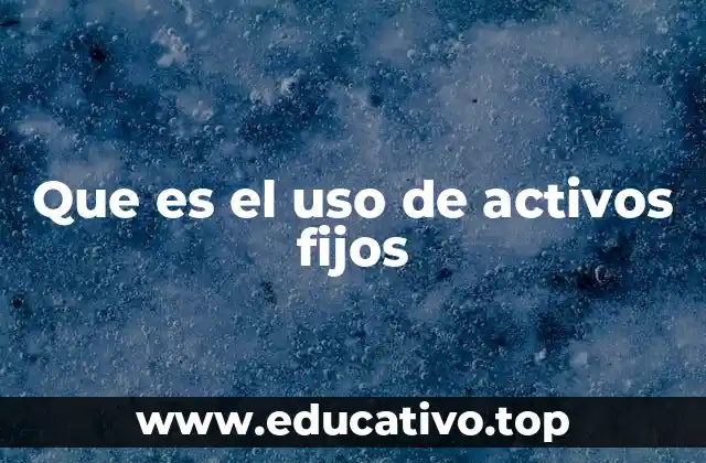 Que es el uso de activos fijos
