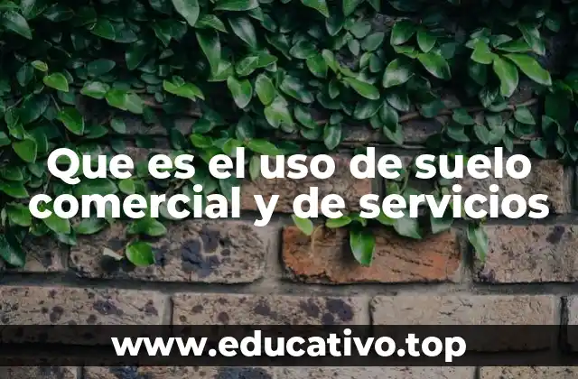 Que es el uso de suelo comercial y de servicios