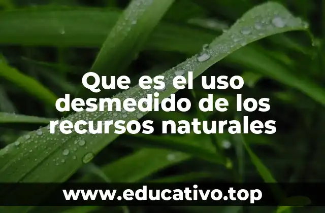 Que es el uso desmedido de los recursos naturales