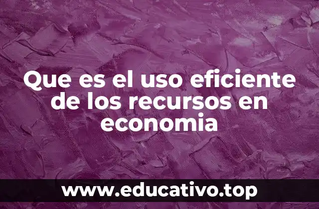 Que es el uso eficiente de los recursos en economia