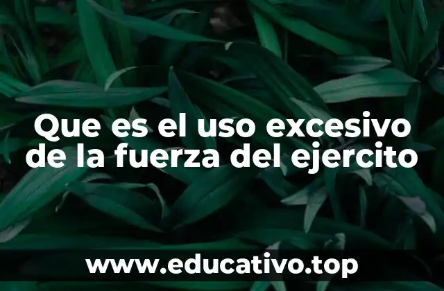 Que es el uso excesivo de la fuerza del ejercito