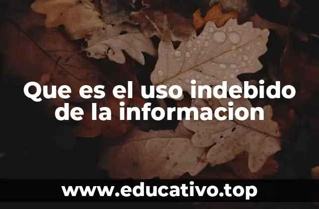 Que es el uso indebido de la informacion