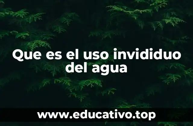 Que es el uso invididuo del agua