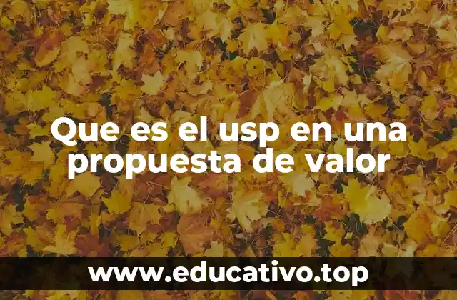 Que es el usp en una propuesta de valor