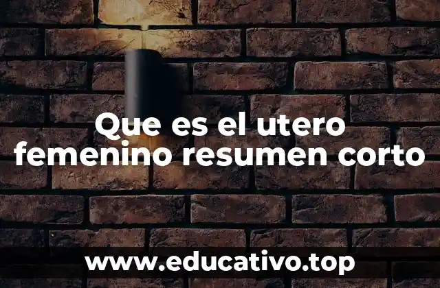 Que es el utero femenino resumen corto