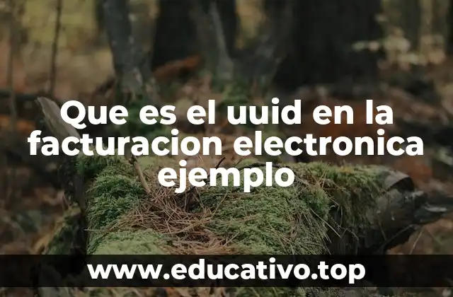 Que es el uuid en la facturacion electronica ejemplo