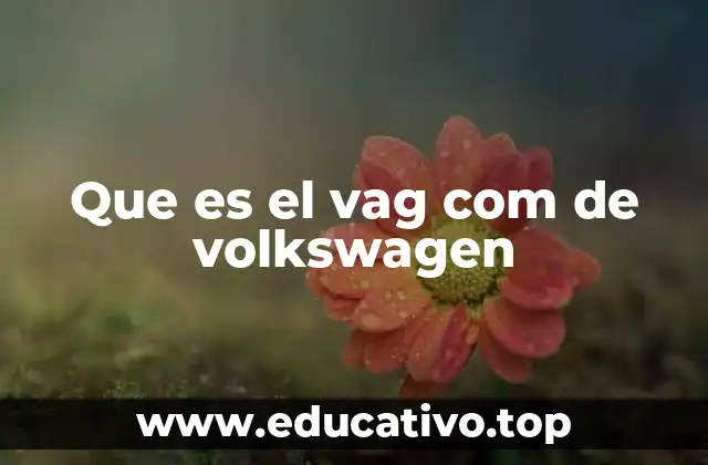 Que es el vag com de volkswagen