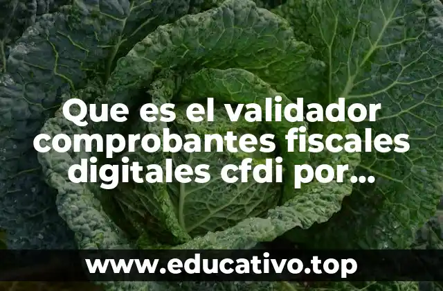 Que es el validador comprobantes fiscales digitales cfdi por internet